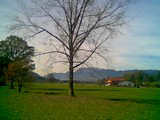 35 kB | Bild000 35 kB | Bild000