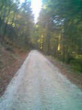 46 kB | Bild011 46 kB | Bild011