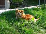 175 kB | img_1606